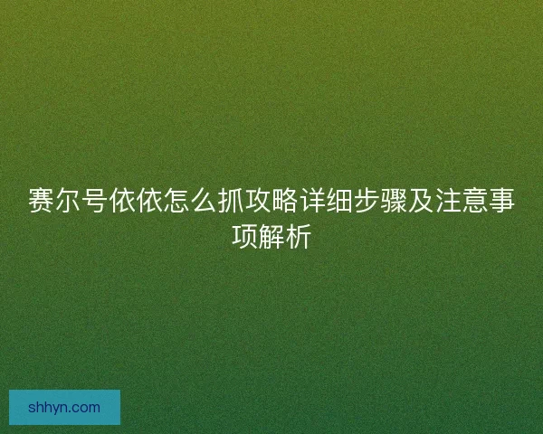 赛尔号依依怎么抓攻略详细步骤及注意事项解析 赛尔号依依怎么抓攻略详细步骤及注意事项解析